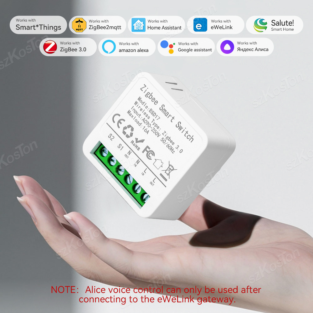 16A Mini ZigBee Smart Switch e - Home Automation Diy review and price
