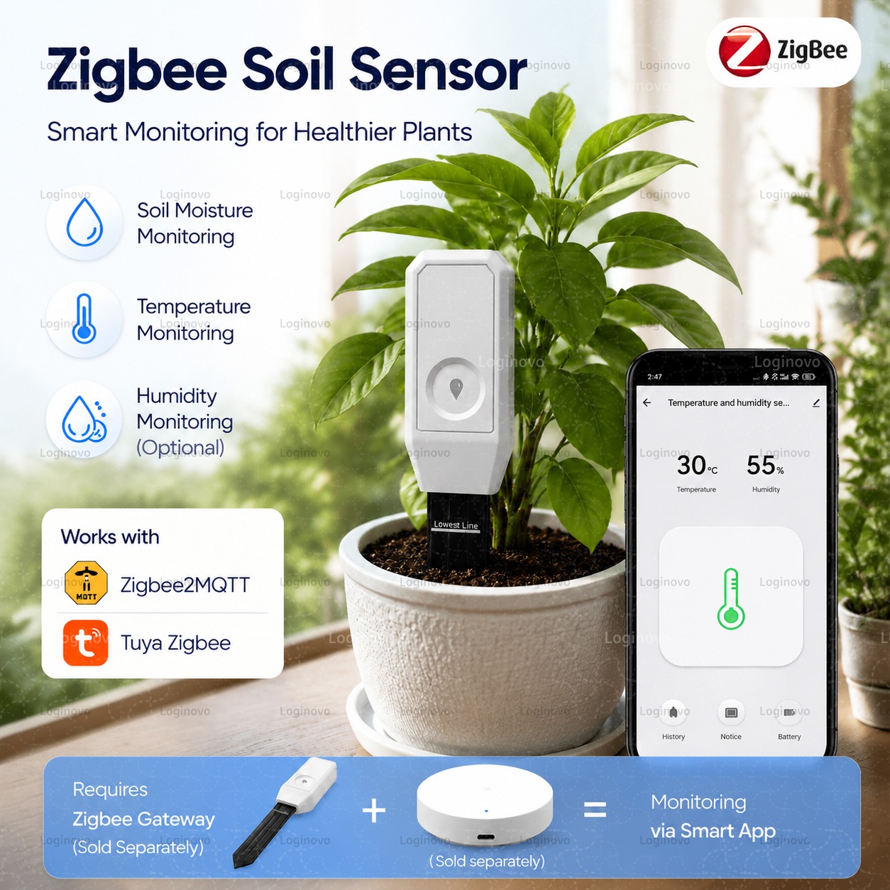 Tuya Zigbee Soil Moisture Test - Home Automation Technology review and price