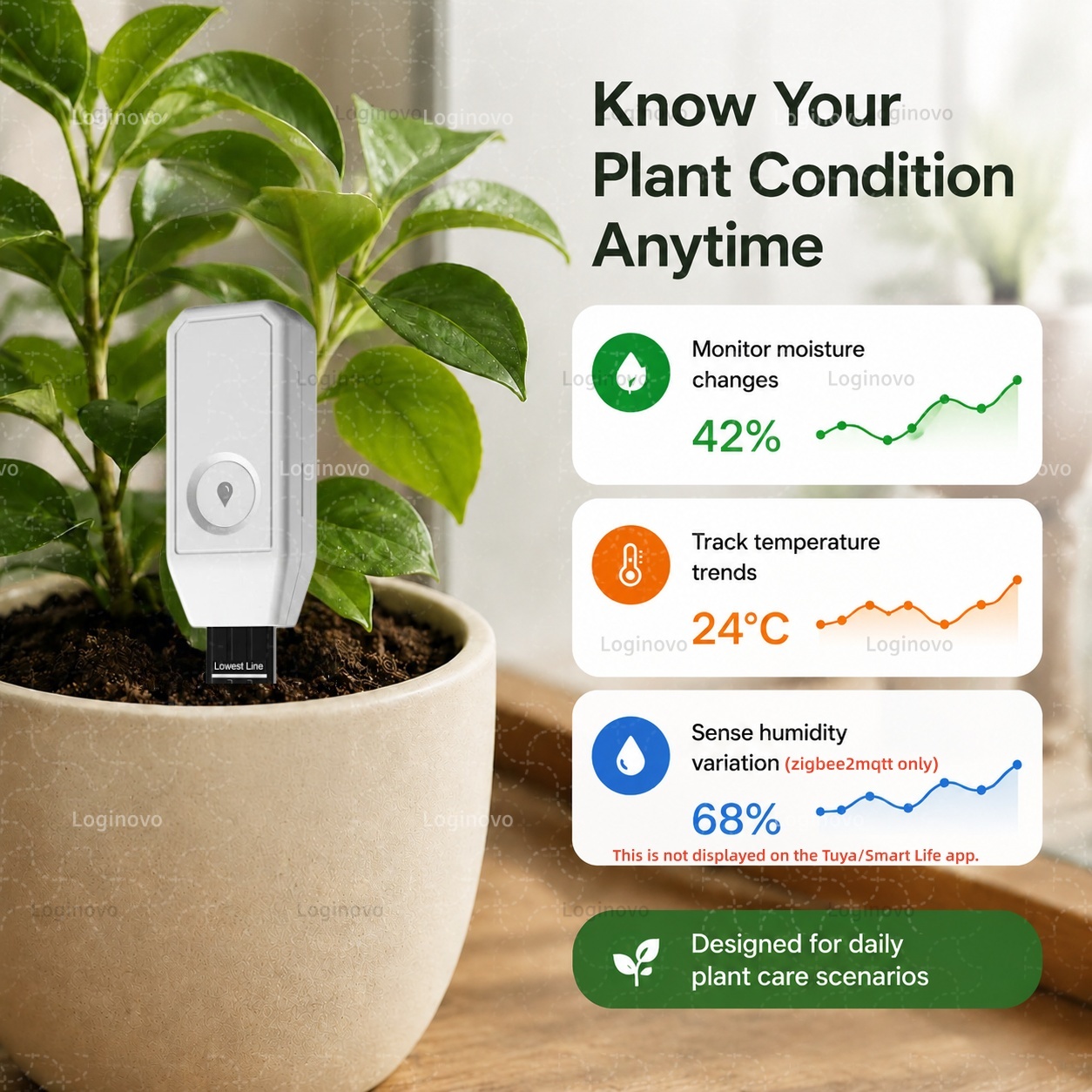 Tuya Zigbee Soil Moisture Test - Home Automation Technology review and price